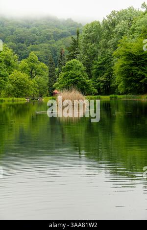 Eine ruhige Szene eines ruhigen Sees, umgeben von üppig grünen Wäldern, bietet einen friedlichen und einladenden natürlichen Rückzugsort. Stockfoto