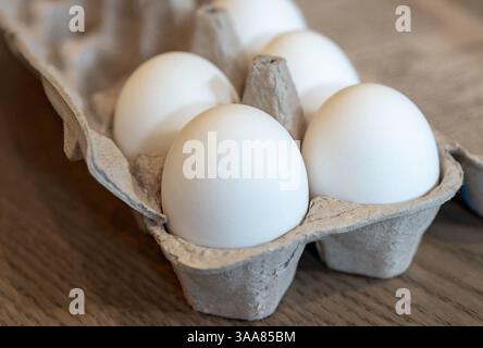 Nahaufnahme frischer Weisseier in einem Recyclingkarton. Stockfoto