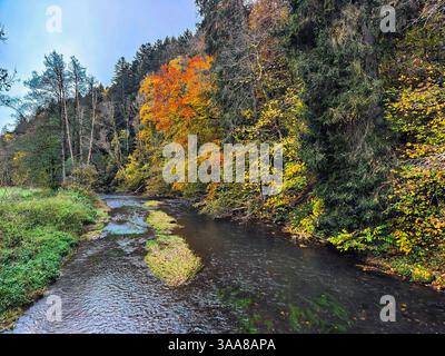 Ein Fluss mit einem grünen und braunen Wald auf beiden Seiten. Das Wasser ist braun und die Blätter orange Stockfoto