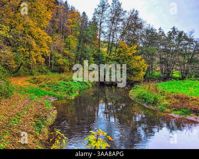 Ein Fluss mit einem grünen und braunen Wald auf beiden Seiten. Das Wasser ist braun und die Blätter orange Stockfoto