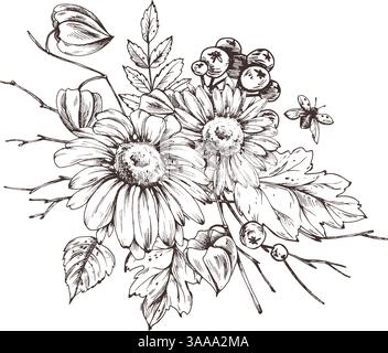 Herbstbeeren Physalis, Archaebeere, vogelblätter, Ahorn, Birke, Rudbeckia-Blüten, Äste und Marienkäfer. Grafische Strichgrafik, handgezeichnet mit Schwarz Stock Vektor