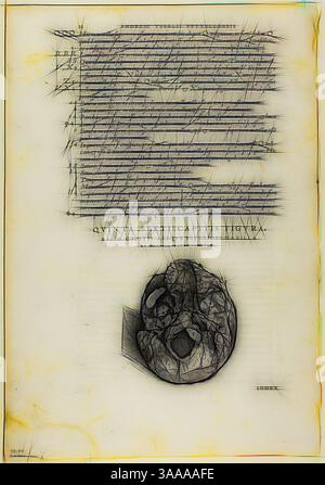 Eine komplizierte Abbildung zeigt eine detaillierte anatomische Zeichnung eines Schädels, der unter einer Reihe handgeschriebener Texte mit Beschriftungen positioniert ist. Der Hintergrund erscheint veraltet, ergänzt die wissenschaftliche Absicht des Dokuments und ist mit geometrischen Linien verziert, die ein Gefühl von Tiefe und Komplexität schaffen., Klassische Kunst mit modernem Twist neu interpretiert von Artotop, basierend auf Leaf von de humani corporis fabrica (Schädel), Platte 100 aus Holzschnitten aus Büchern des XVI Jahrhunderts, 1543, zusammengefügt zu Portfolio 1937, zugeschrieben Jan Stephan van Calcar (Niederlande, 1499-1546/50), montiert von Max Stockfoto