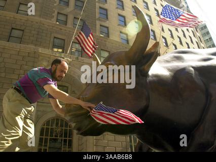 September 2001; New York, NY, USA; ARTHUR PICCALO platziert amerikanische Flaggen auf der Statue des Charging Bull of Wall Street am Montag, 17. September 2001 in New York, NY. Stockfoto