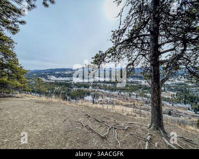 Malerischer Blick auf ein Bergtal mit verschneiten Flecken, eingerahmt von einem großen Baum mit freiliegenden Wurzeln auf einem unbefestigten Blick. Stockfoto