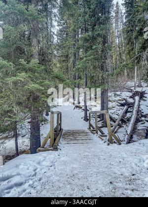 Rustikale Holzbrücke über einen verschneiten Waldweg umgeben von immergrünen Bäumen. Perfekt für Winterwanderungen oder Naturerlebnisse. Stockfoto