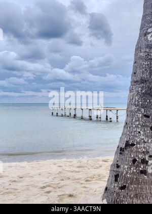 Ein hölzerner Pier erstreckt sich über ruhiges Meereswasser mit einem bewölkten Himmel und einem Palmenstamm im Vordergrund an einem Sandstrand. Stockfoto