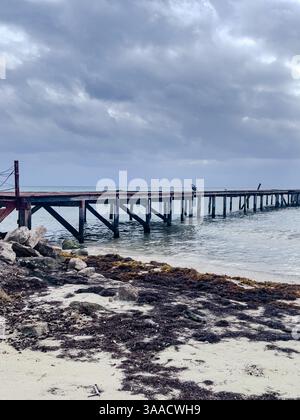 Ein verwitterter hölzerner Pier, der sich in ruhiges Meereswasser mit einem bewölkten Himmel über Ihnen erstreckt. Algen und Felsen säumen das Ufer und schaffen eine Küstenatmosphäre. Stockfoto