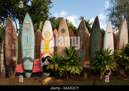 Januar 2015 – Hawaii, USA – Surfbretter-Dekoration in einem Garten. Huelo. Hawaii. Huelo ist eine kleine Gemeinde an der Road to Hana (Hana Highway). Es wird als Teil von Haiku angesehen. Diese wenig bekannte Gemeinde liegt abseits der Bevölkerungszentren von Maui, wie Wailuku und Kahului, und wurde als „das kleine hawaiianische Dorf, das durch die Zeit vergessen wurde“ beschrieben. Huelo liegt auf 480 ft (146 m) über dem Meeresspiegel und bietet eine ruhige und entspannte Inselatmosphäre und eine üppige Umgebung. Zu den Aktivitäten in Huelo gehören Reiten und Wandern entlang des Waikamoi Nature Trail. In der Nähe befindet sich das Stockfoto
