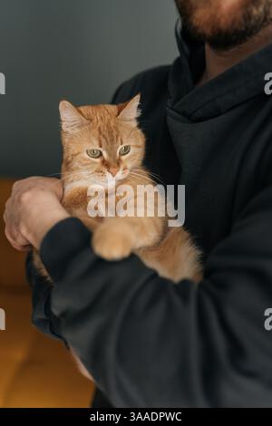 Vertikal geschnittene Aufnahme eines nicht erkennbaren, fürsorglichen Mannes, der zärtlich Ingwerkatze hält und eine warme Verbindung zwischen Mensch und Katze verkörpert Stockfoto
