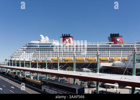 Cape Canaveral, FL, USA - 15. Januar 2022: Ein Disney-Kreuzfahrtschiff am Port Canaveral Terminal in FL, USA. Stockfoto