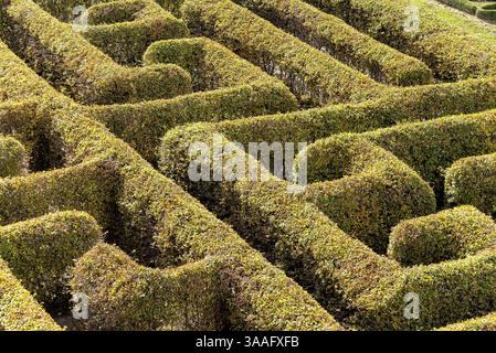 Labyrinth in einem botanischen Garten in Polen Stockfoto