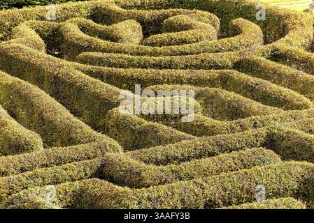 Labyrinth in einem botanischen Garten in Polen Stockfoto