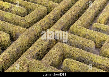 Labyrinth in einem botanischen Garten in Polen Stockfoto