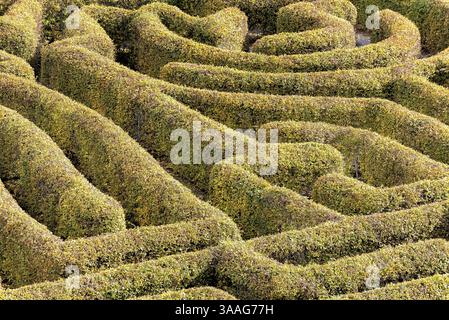Labyrinth in einem botanischen Garten in Polen Stockfoto