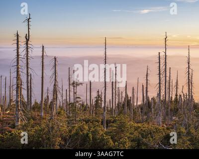 Blick vom bayerischen Ploeckenstein an der Grenze zur Tschechischen Republik zu den Alpen, Nebel im Flachland, vor totem Wald im Abendlicht, Stockfoto