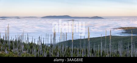 Blick vom bayerischen Ploeckenstein an der Grenze zur Tschechischen Republik über die endlosen Wälder des Böhmischen Waldes, Nebel in der Tiefebene, Meer von Stockfoto