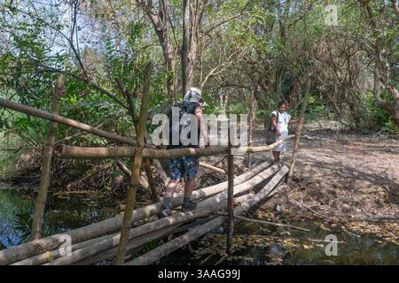 Die einheimische Arhuaco Dame führt einen Touristen zu ihrem Dorf im Wald, Gemeinde Katanzama, Sierra Nevada de Santa Marta, Kolumbien Stockfoto