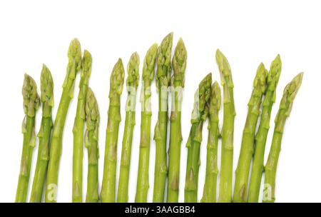 Junge Spargelsprossen auf weißem Hintergrund Stockfoto