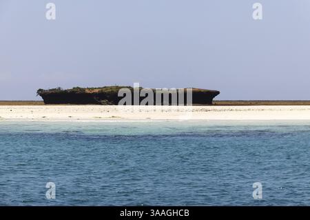 Wasini Island und Kisite-Mpunguti Marine National Park, Kenta, Afrika, Kenia, Afrika Stockfoto