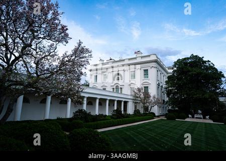 Washington, DC, USA. 31. März 2025. Das Weiße Haus in Washington, DC, USA, am Montag, 31. März, 2025. der Beschluss weist die Federal Trade Commission an, mit dem Justizministerium zusammenzuarbeiten, um sicherzustellen, dass die Wettbewerbsgesetze in der Konzert- und Unterhaltungsindustrie durchgesetzt werden, und fordert die staatlichen Verbraucherschutzbehörden auf, die Durchsetzung der Wettbewerbsvorschriften zu gewährleisten. Quelle: Al Drago/Pool über CNP/dpa/Alamy Live News Stockfoto