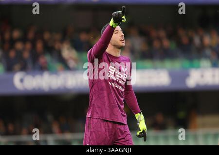 Parma, Italien. 31. März 2025. Lorenzo Montipo von Hellas Verona FC geübt während des italienischen Fußballspiels der Serie A zwischen Hellas Verona und Parma Calcio im Marc'Antonio Bdentegodi Stadion. Endergebnis Hellas Verona FC 0: 0 Parma Calcio Credit: SOPA Images Limited/Alamy Live News Stockfoto