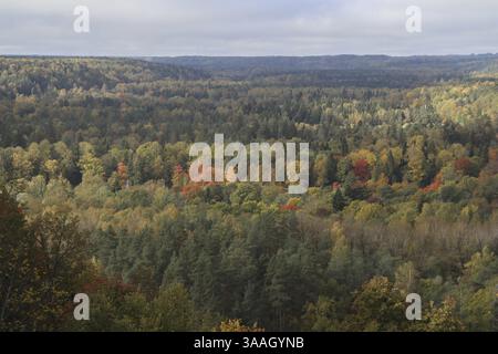 Herbst im Gauja Nationalpark, Lettland, Baltikum, Europa Stockfoto