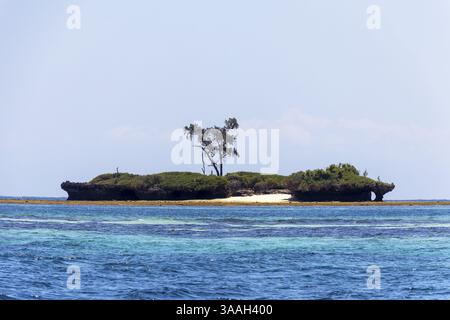 Wasini Island und Kisite-Mpunguti Marine National Park, Kenta, Afrika, Kenia, Afrika Stockfoto