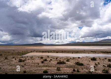 Ein riesiges, trockenes Tal unter einem dramatischen Himmel in Peru, das die natürliche Schönheit der Wüste und die umliegenden Berge zeigt. Stockfoto