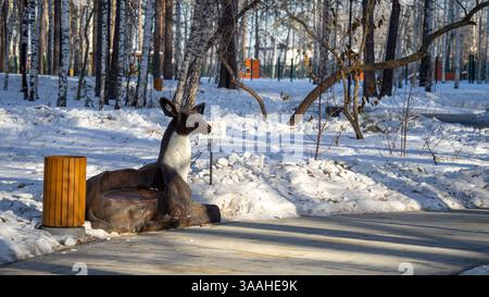 Bank in Form von weiblichen Rotwild im Stadtpark Manin Park in der Stadt Verkhnyaya Pyshma am Wintertag vor dem Hintergrund von Birken und Schneeschwankungen. Stockfoto