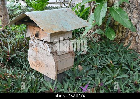 Holzbienenstock auf natürlichem Hintergrund. Stockfoto