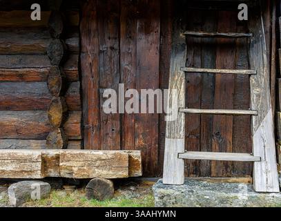 Die alte Holzhütte zeigt eine verwitterte Leiter und strukturierte Wände, umgeben von üppigem Grün an einem ruhigen Nachmittag. Stockfoto