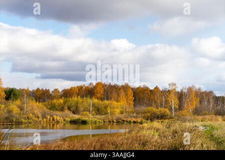 Fluss, See oder Teich umgeben von gelblichen Bäumen. Jahreszeitwechsel. Goldener Herbst. Kopierbereich für Text. Stockfoto