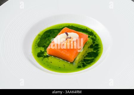 Sous-vide-Lachsfilet mit Fischrogen, garniert mit Sorbet und Mikrogrün, serviert auf einer lebendigen grünen Kräutersauce Stockfoto