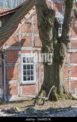Historisches Fachwerkhaus mit einem verwitterten Schindeldach an einer Kopfsteinpflasterstraße, mit großer Eiche davor und altem Pflug. Stockfoto