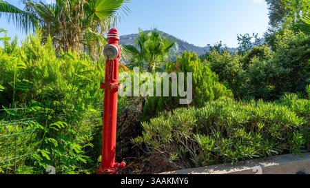 Roter Hydrant auf dem Hintergrund tropischer Pflanzen und Palmen im Mittelmeerland auf dem Hotelgelände oder im Innenhof des Hauses. Brandschutz Stockfoto