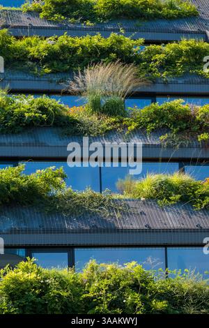 Moderne Gebäudefassade mit üppig grünen Dachterrassen und nachhaltiger Architektur. Stockfoto