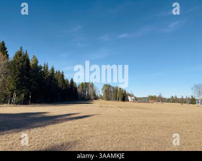 Sunny day in an open field in early spring surrounded by trees in a rural area Stockfoto