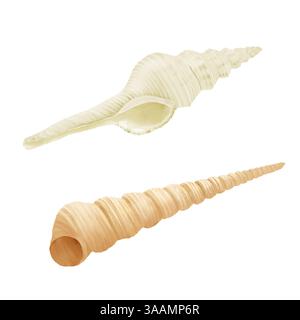 Weiße strombus Muschel und braune Turritella Terebra Aquarell Illustration. Eine Reihe von verdrehten Kegeln aus Muscheln, isoliert auf weißem Hintergrund Stockfoto