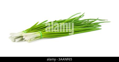 Bündel frischer grüner Zwiebeln isoliert auf weiß Stockfoto