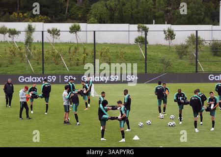 30. Mai 2018 - Oeiras, Portugal - Portugals Cheftrainer Fernando Santos (L) blickt am 30. Mai 2018 im Trainingslager Cidade do Futebol (Fußballstadt) in Oeiras, am Stadtrand von Lissabon, auf seine Teamspieler vor den Vorbereitungsspielen der FIFA-Weltmeisterschaft Russland 2018 gegen Belgien und Algerien zu.......... Während des portugiesischen Fußballspiels Sporting CP gegen Vitoria Guimaraes im Alvadade-Stadion in Lissabon am 5. März 2017. Foto: Pedro Fiuzaduring beim portugiesischen Cup-Finale-Spiel CD Aves vs Sporting CP im Jamor-Stadion in Oeiras, am Stadtrand von Lissabon, im Mai Stockfoto