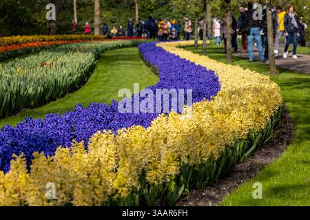 Keukenhof, Lisse Niederlande - 18. April 2023: Besucher des Keukenhof-Gartens in Lisse, Niederlande. Stockfoto