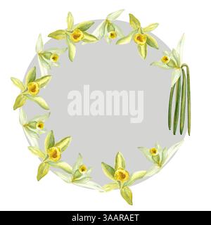 Vanilleorchideenblumen und Bohnen Aquarellrahmen isoliert auf weißem Hintergrund. Hochwertiges, handgezeichnetes Designelement, perfekt für Gewürzdosen Stockfoto