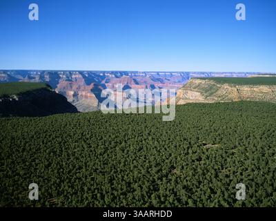 LUFTAUFNAHME. Grand Canyon von oberhalb des Kaibab National Forest, Blick nach Norden. Tusayan, Coconino County, Arizona, USA. Stockfoto