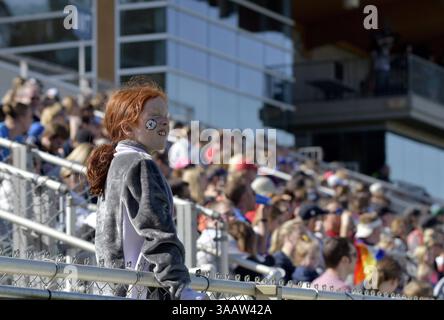31. März 2018 - Cary, North Carolina, USA - Cary, NC - Samstag, 31. März 2018: Fans während eines regulären Spiels der National Women's Soccer League (NWSL) zwischen der North Carolina Courage und Sky Blue FC im Stadion von Sahlenâ im WakeMed Soccer Park. (Kreditbild: © Grant Halverson/ISIPhotos via ZUMA Wire) Stockfoto