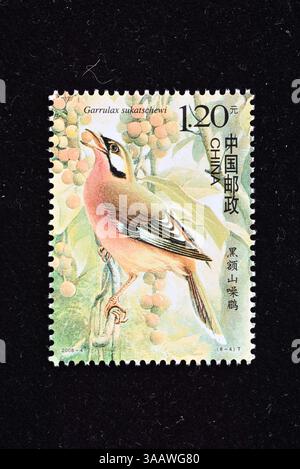 CHINA - CA. 2008: In China gedruckte Briefmarken zeigen Vögel von China, ca. 2008 Stockfoto