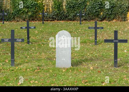 Frankreich, Meurthe et Moselle, Briey, deutscher Militärfriedhof von Val de Briey, auf dem 2244 geman-Soldaten begraben werden. Briey beherbergte ein Militärkrankenhaus im Krankenhaus der Mine, was der Grund dafür ist, dass es einen Militärfriedhof gibt, in der Mitte das Grab eines jüdischen Soldaten Stockfoto