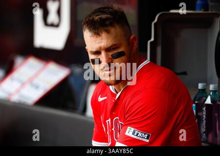 Mike Trout #27 der Los Angeles Angels sitzt im Dugout vor einem Spiel gegen die Chicago White Sox im Rate Field am 29. März 2025 in Chicago, Illinois. (Foto: Brandon Sloter/Image of Sport) Stockfoto