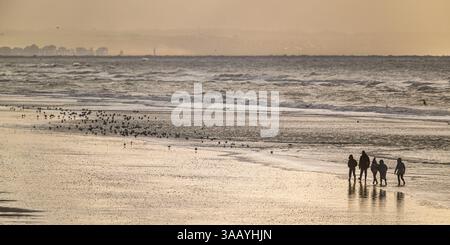 Frankreich, Somme, Baie de Somme, Quend-Plage, der Strand und die Dünen zwischen Quend-Plage und Baie de Somme, Blitz unter einem schweren Himmel Stockfoto