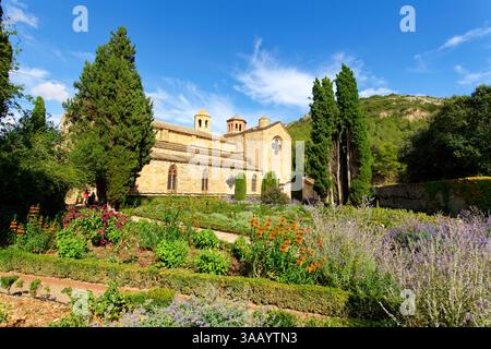Frankreich, Aude, Cathare Country, Narbonne, Narbonnaise regionaler Naturpark im Mittelmeer, zisterzienserabtei Fontroide, Rosengarten und Abteikirche Stockfoto