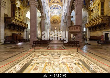 Italien, Toskana, Provinz Lucca, Lucca, Kathedrale von San Martino (St. Martin) im romanischen toskanischen Stil im 11. Und 13. Jahrhundert erbaut, das Kirchenschiff, die Mascioni-Orgeln aus den Jahren 1957 und 1962, das Kreuz von santa Giulia und der Chor mit einem Fresko in der Apsis, gemalt 1681 von coli und Gherardi, die die Trinity darstellen, befindet sich auf der Piazza san Martino Stockfoto
